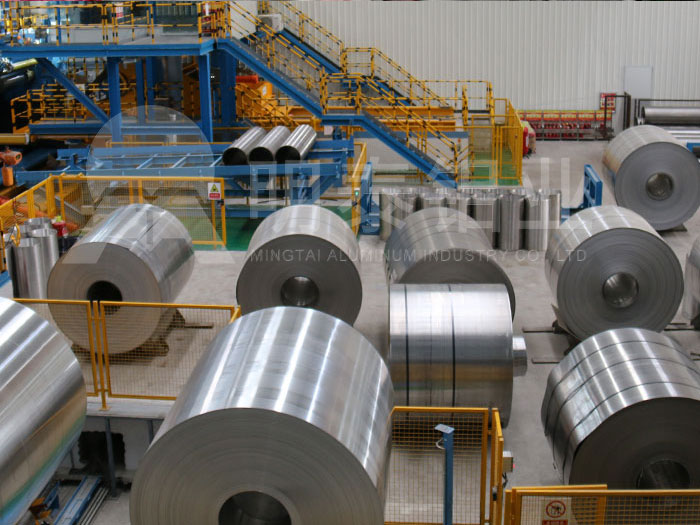 焗飯盒用草莓视频黄污下载基材廠家_價格